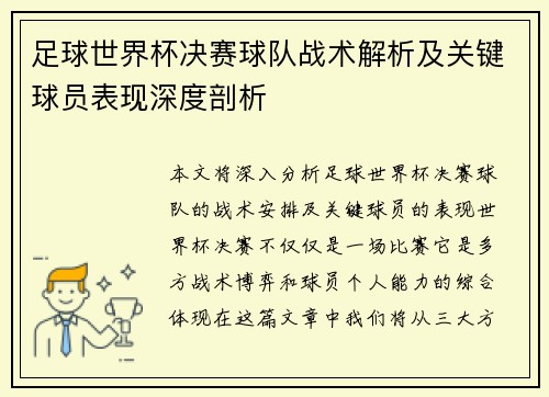 足球世界杯决赛球队战术解析及关键球员表现深度剖析